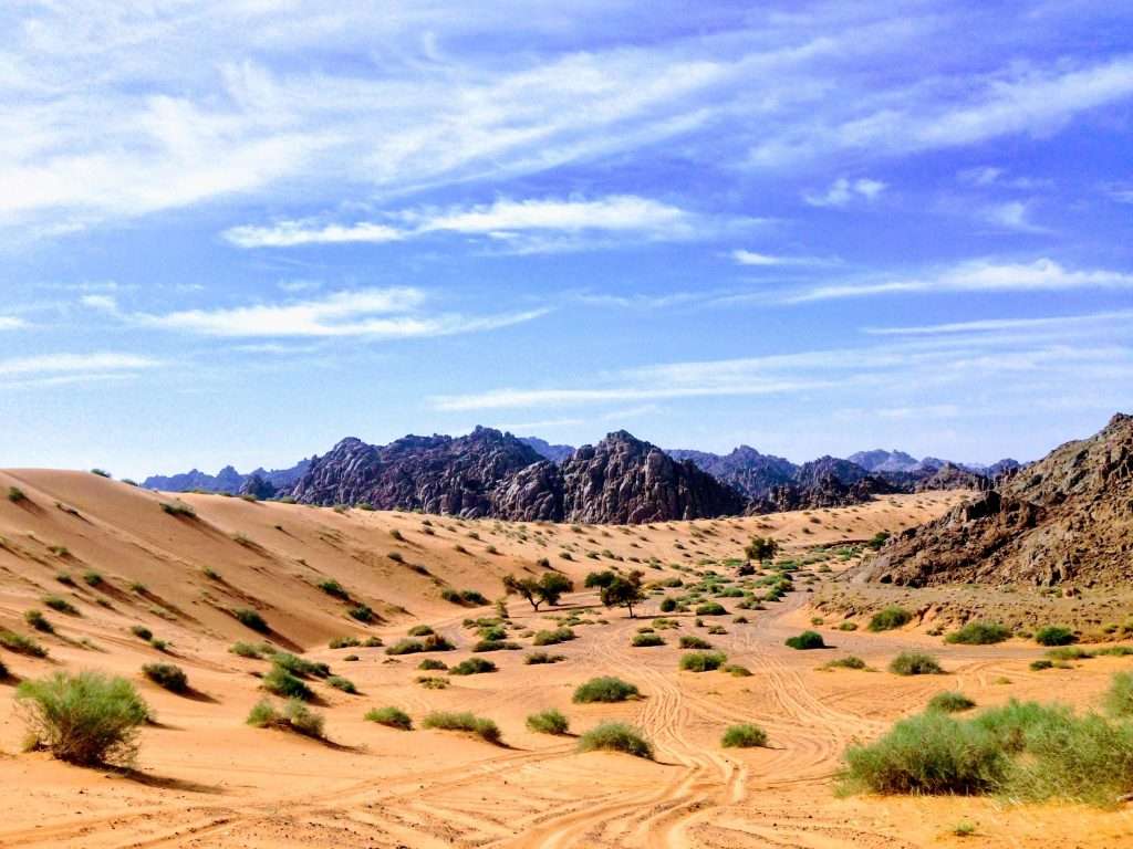 Al Nefud desert, Naylat, Hail, Arabian peninsula, (Saudi Arabia)