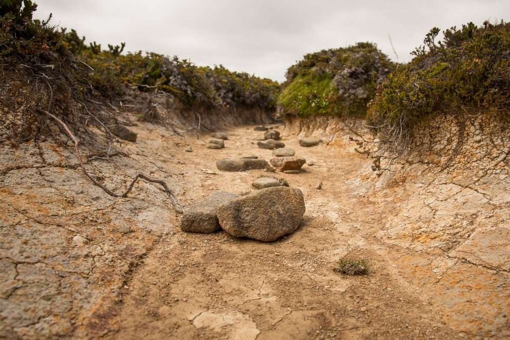 Hartz Mountains, Southwest TAS, Australia