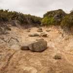 Hartz Mountains, Southwest TAS, Australia