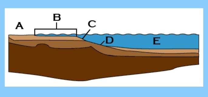 A - CoastB - Continental shelf / continental shelf C - Continental slope / continental slope D - Continental rise E - Ocean floor