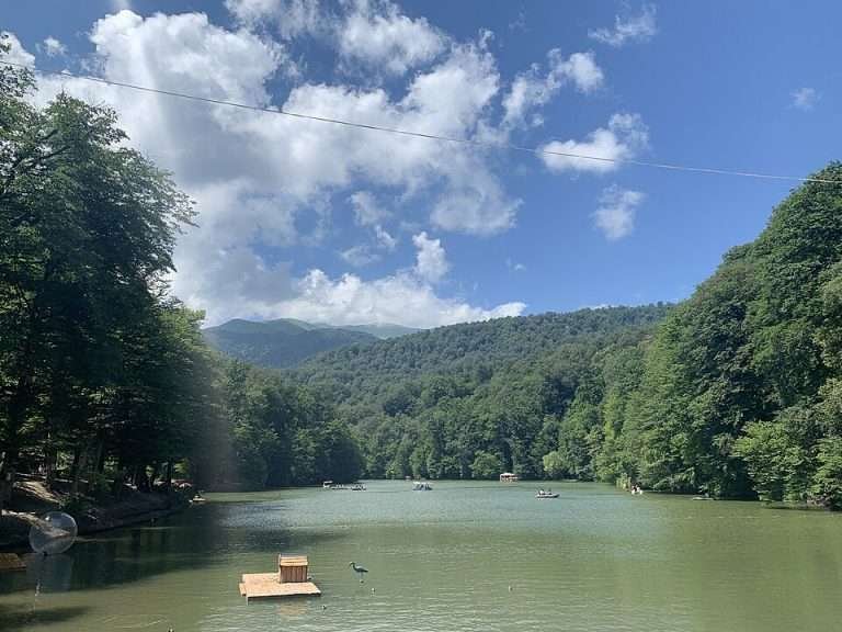 Авторство: Well-read MountainMan. Собственная работа, CC BY-SA 4.0, https://commons.wikimedia.org/w/index.php?curid=120467557