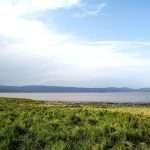 By Cisssko - Own work, CC BY-SA 3.0, https://commons.wikimedia.org/w/index.php?curid=32494700