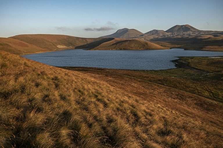 Vladimir Pankratov, CC BY-SA 4.0, via Wikimedia Commons