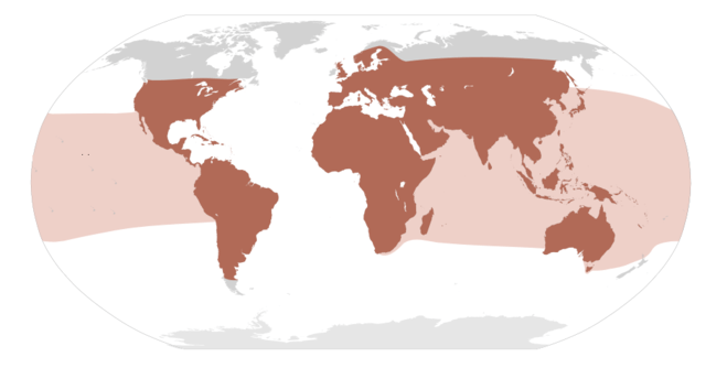 Countries without snakes