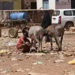 Goldogob, Somalia
