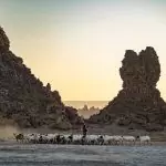Lac Abbe, Djibouti