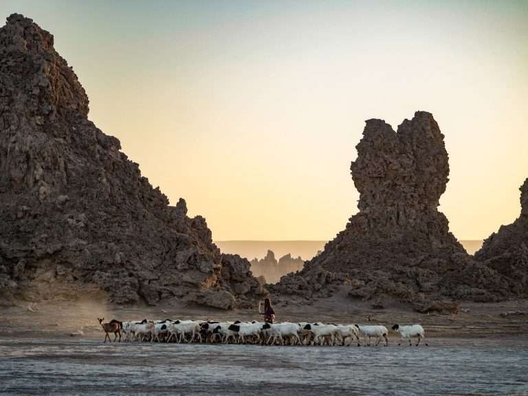 Lac Abbe, Djibouti