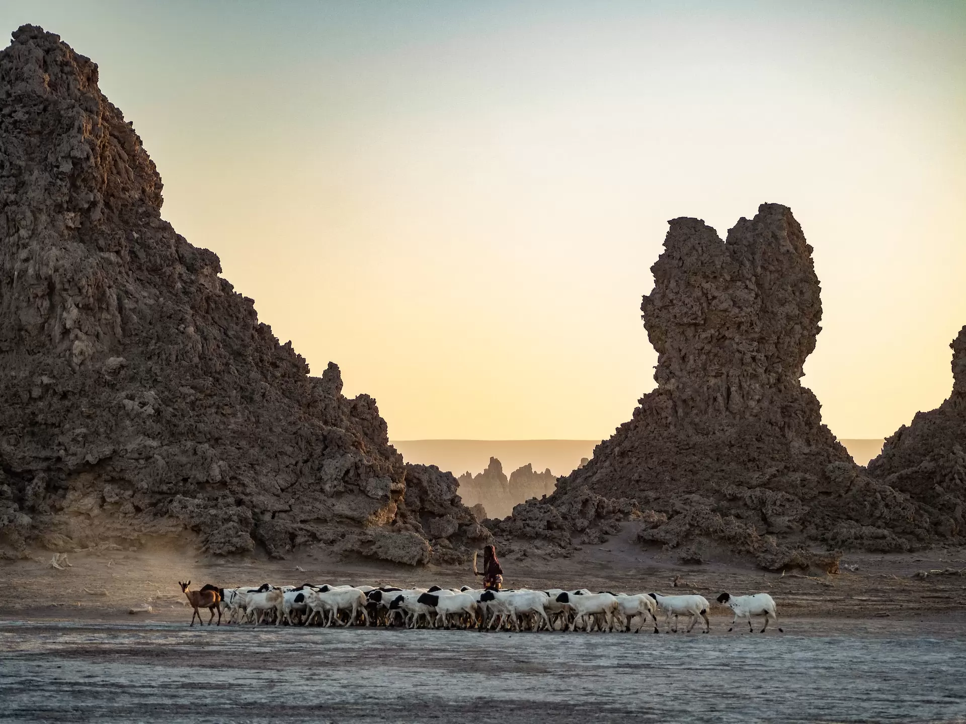 Lac Abbe, Djibouti