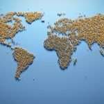 Languages of the world