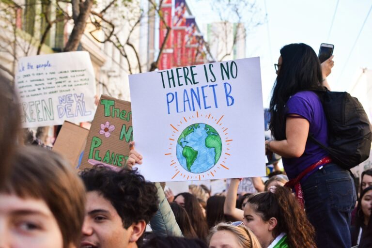 Crowd at a climate protest holding a sign that reads “There is no Planet B” with a hand-drawn Earth