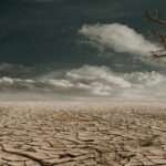 A barren, cracked desert floor under a moody cloudy sky with a lone dead tree leaning at the edge.