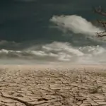 A barren, cracked desert floor under a moody cloudy sky with a lone dead tree leaning at the edge.