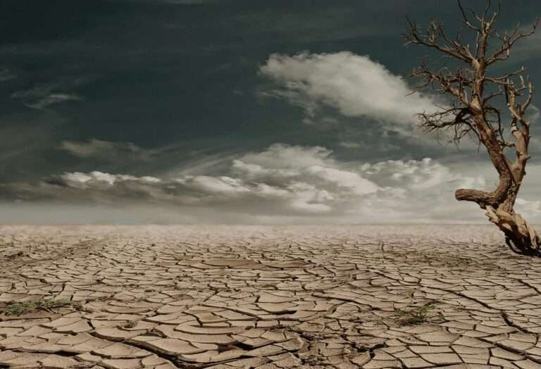 A barren, cracked desert floor under a moody cloudy sky with a lone dead tree leaning at the edge.