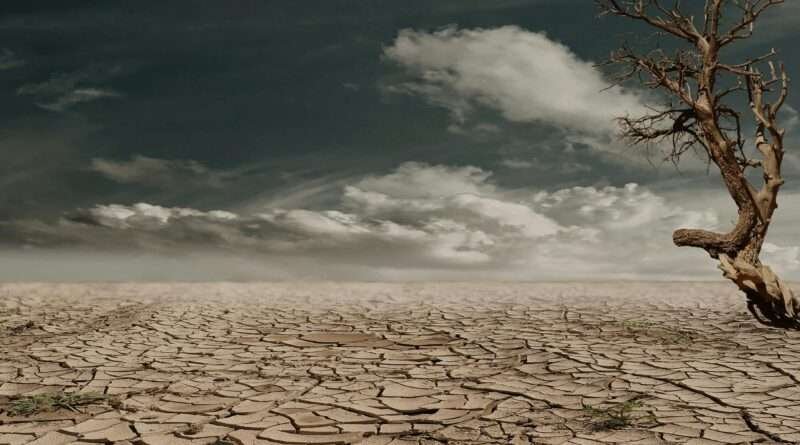 A barren, cracked desert floor under a moody cloudy sky with a lone dead tree leaning at the edge.