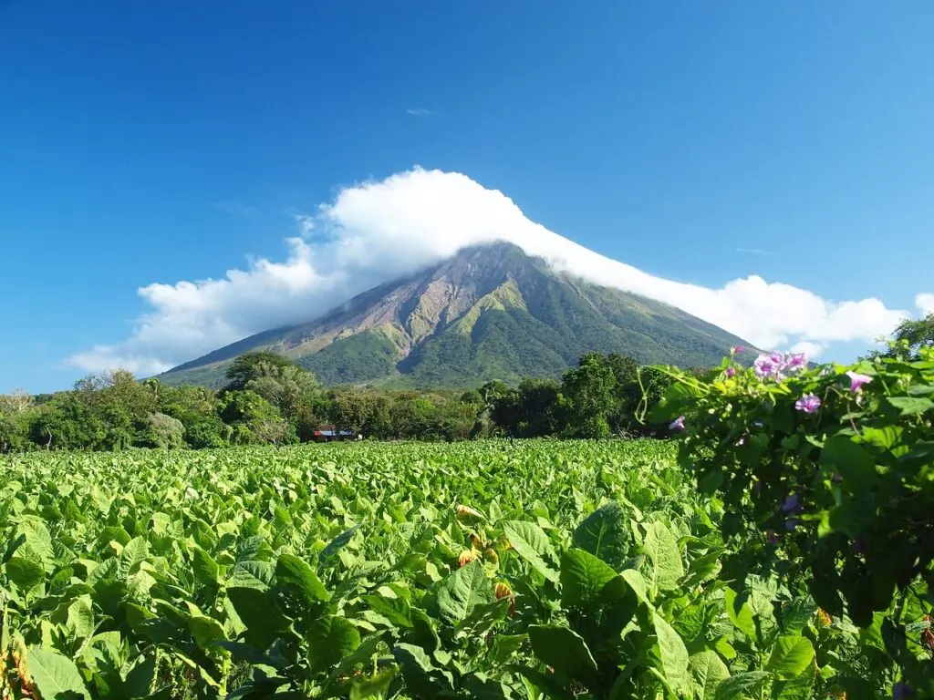 Concepción Volcano on Ometepe Island in Lake Nicaragua with lush green fields
