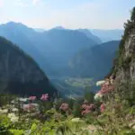 Alpine valley with wildflowers, rocky cliffs, and distant lake under soft mountain light.