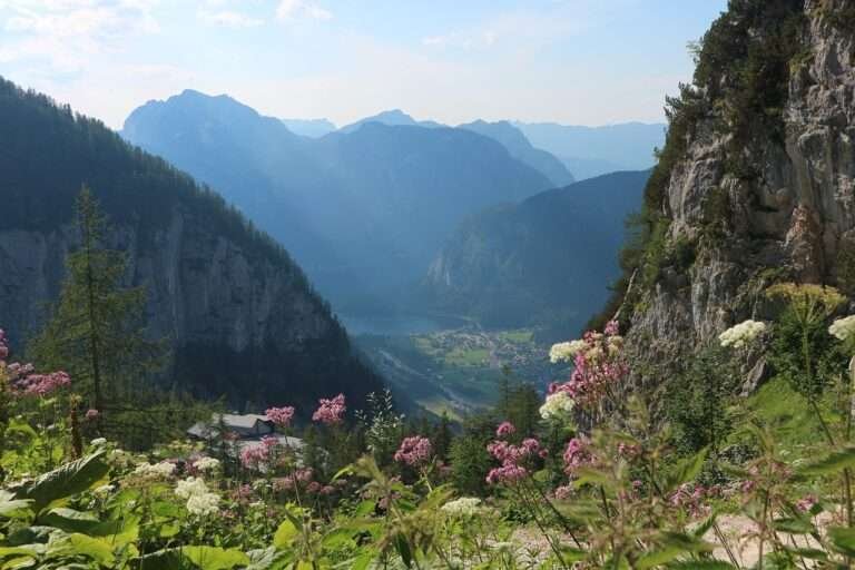 Alpine valley with wildflowers, rocky cliffs, and distant lake under soft mountain light.