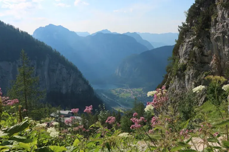 Alpine valley with wildflowers, rocky cliffs, and distant lake under soft mountain light.