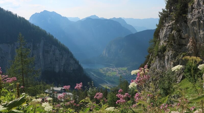 Alpine valley with wildflowers, rocky cliffs, and distant lake under soft mountain light.