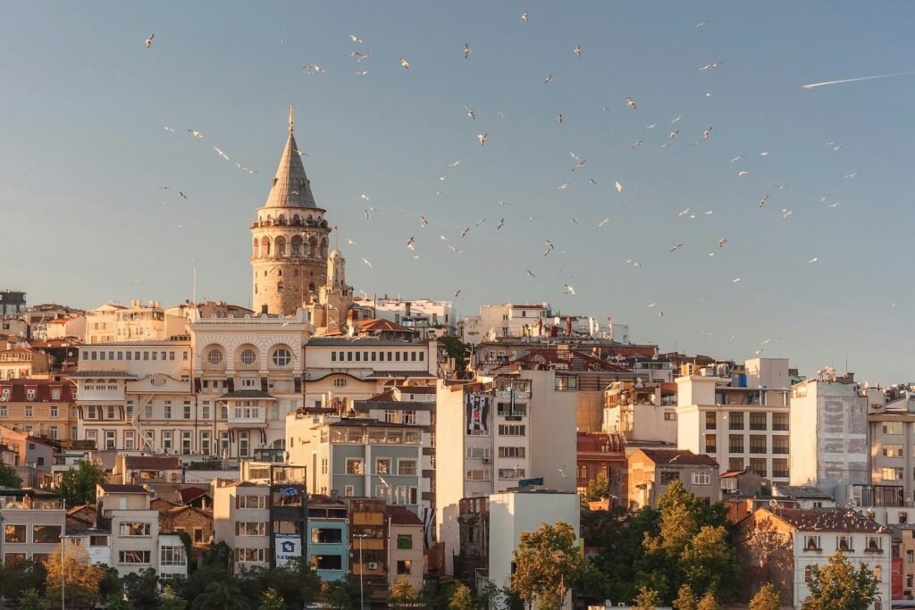 Galata Tower above the Beyoğlu skyline with gulls at sunset, Istanbul, Türkiye.