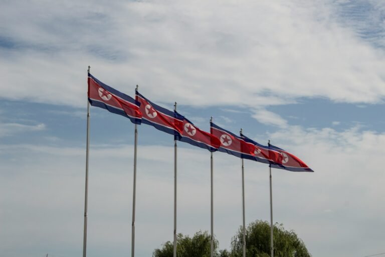 Row of North Korean (DPRK) flags flying on tall poles against a cloudy sky.