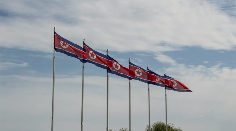 Row of North Korean (DPRK) flags flying on tall poles against a cloudy sky.