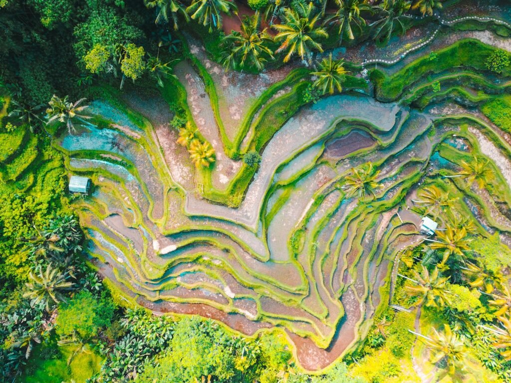 Aerial view of Tegallalang Rice Terrace near Ubud, Bali, Indonesia.