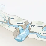 Illustrated river system showing rainfall runoff forming sheetwash, rills, and a gully, then a waterfall and gorge, ending in a meander with a cut bank, point bar, and oxbow lake.